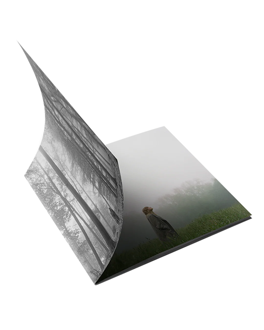 Folklore 1. the “in the trees" edition deluxe cd - Image 3
