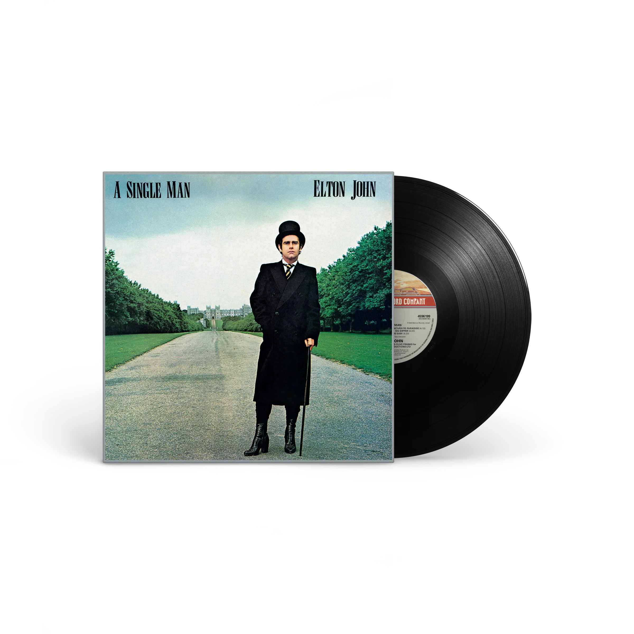 A Single Man: Vinyl LP