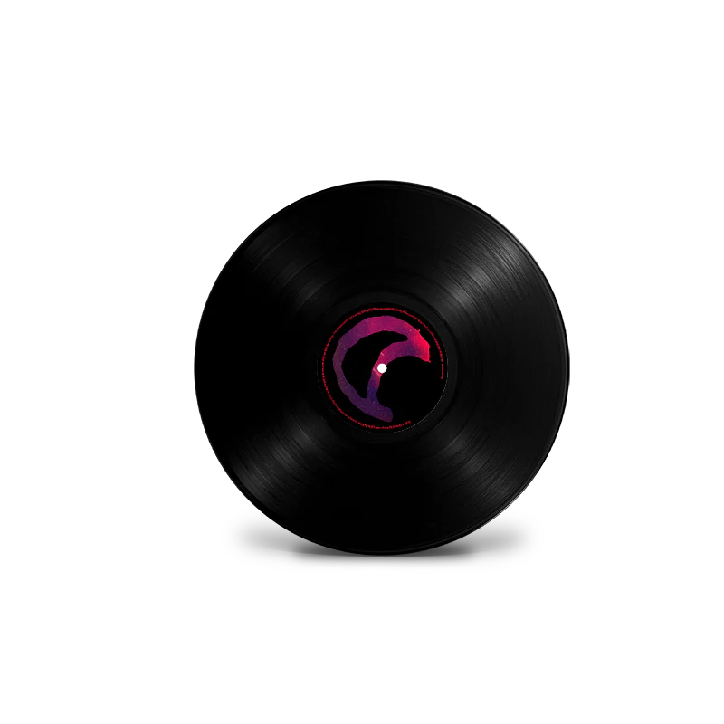 'Beholder' Standard LP - Image 2