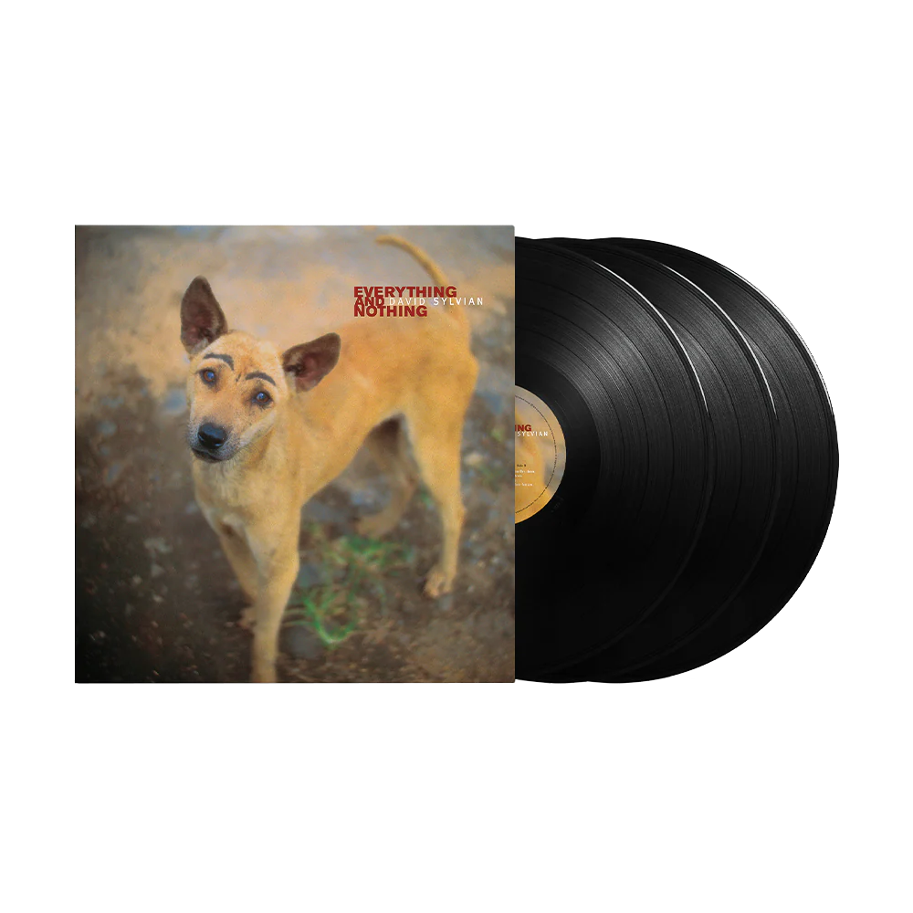 Everything And Nothing: Vinyl 3LP - Image 2