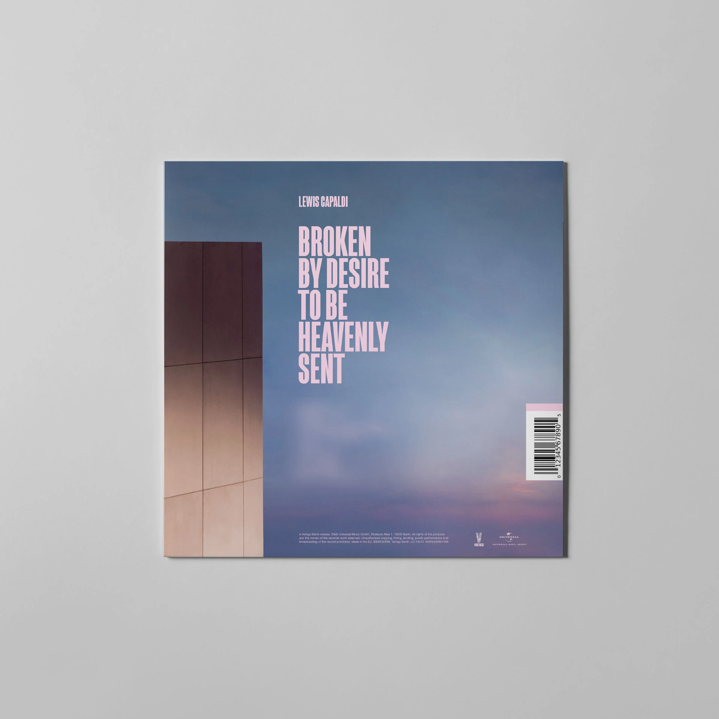 Standard Vinyl - Image 2