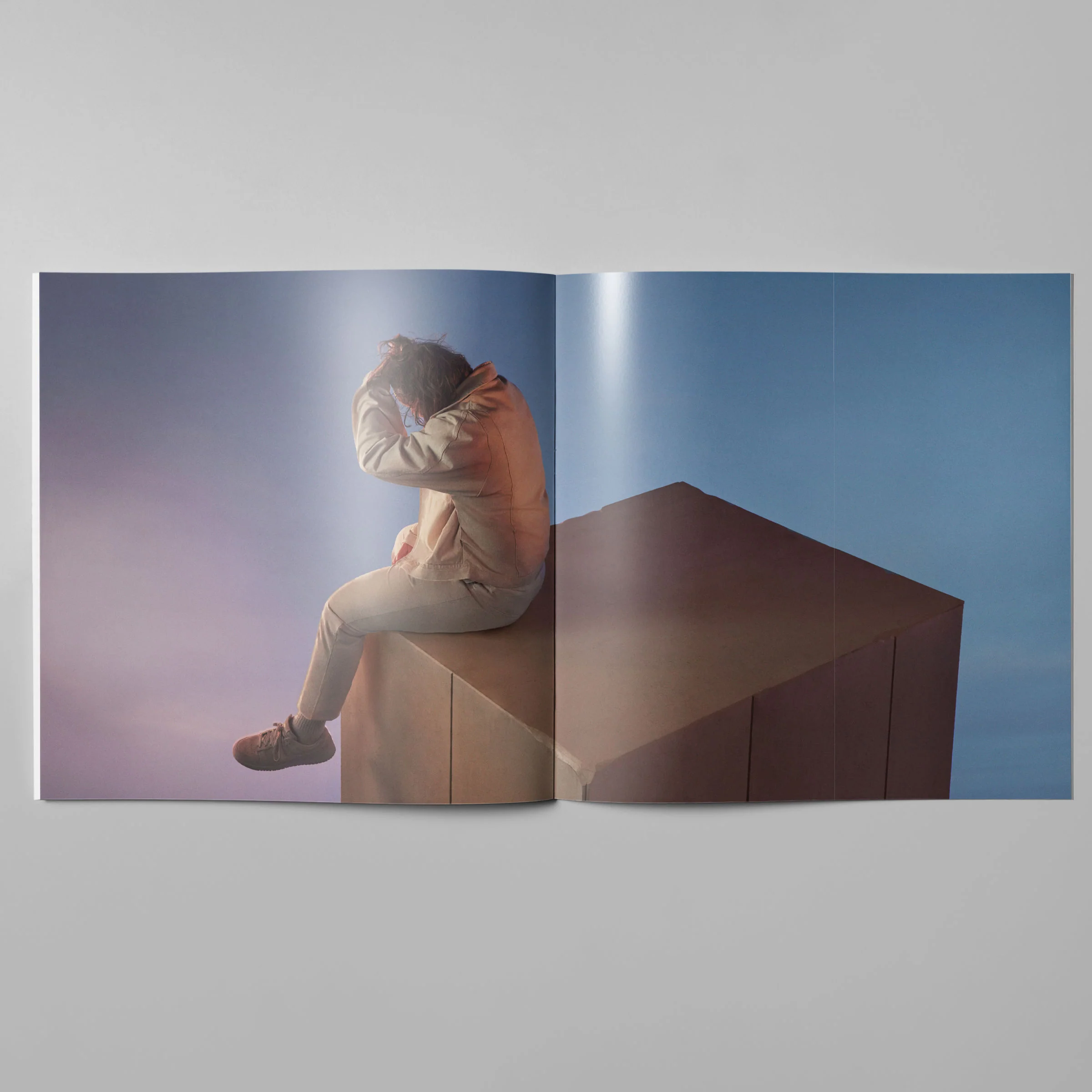 Standard Vinyl - Image 3
